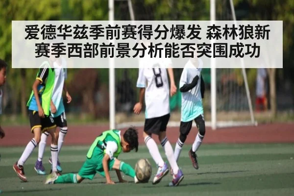 爱德华兹季前赛得分爆发 森林狼新赛季西部前景分析能否突围成功